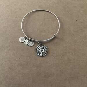 Silver Charm Bangle Bracelet Alexi and Andi Sister